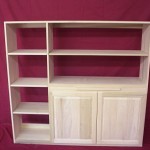 Bookcase With Cabinet